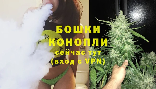 трава Инта