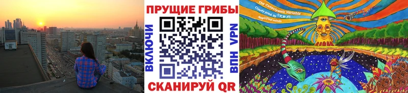Купить закладки  Кимры  Псилоцибиновые грибы Cubensis 