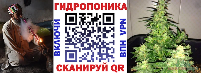 Купить закладки  Кимры  Бошки Шишки индика 